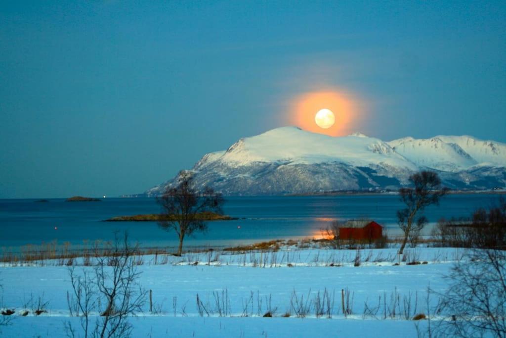 House By The Sea Sortland Exterior foto
